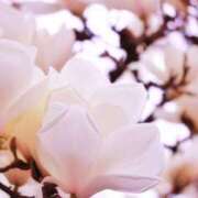 ヒメ日記 2025/10/25 21:54 投稿 ななか カクテル静岡駅前店