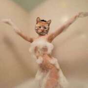 ヒメ日記 2025/02/08 01:22 投稿 碇 七瀬-NANASE- Casual Rich 5（カジュアルリッチファイブ）