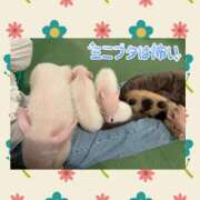 ヒメ日記 2025/11/06 22:09 投稿 碇 七瀬-NANASE- Casual Rich 5（カジュアルリッチファイブ）