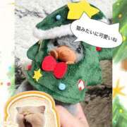 ヒメ日記 2025/11/15 17:28 投稿 碇 七瀬-NANASE- Casual Rich 5（カジュアルリッチファイブ）