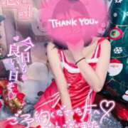 ヒメ日記 2024/12/23 22:22 投稿 ハイビスカス 飾窓