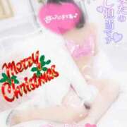 ヒメ日記 2024/12/24 20:00 投稿 ハイビスカス 飾窓