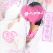 ヒメ日記 2024/12/29 16:57 投稿 ハイビスカス 飾窓