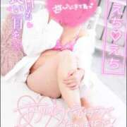 ヒメ日記 2025/01/09 20:00 投稿 ハイビスカス 飾窓