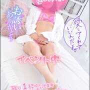 ヒメ日記 2025/01/09 21:24 投稿 ハイビスカス 飾窓