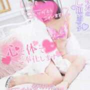 ヒメ日記 2025/01/24 21:17 投稿 ハイビスカス 飾窓