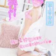 ヒメ日記 2025/01/24 21:31 投稿 ハイビスカス 飾窓