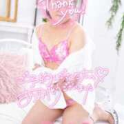 ヒメ日記 2025/02/03 19:41 投稿 ハイビスカス 飾窓