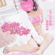 ヒメ日記 2025/02/07 19:25 投稿 ハイビスカス 飾窓