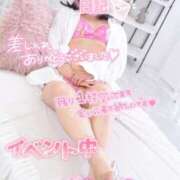 ヒメ日記 2025/02/07 21:15 投稿 ハイビスカス 飾窓