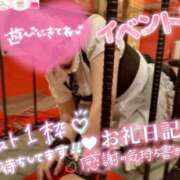 ヒメ日記 2025/02/12 21:59 投稿 ハイビスカス 飾窓