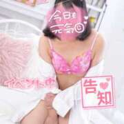 ヒメ日記 2025/02/27 20:47 投稿 ハイビスカス 飾窓