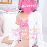 ヒメ日記 2025/03/03 20:49 投稿 ハイビスカス 飾窓