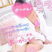 ヒメ日記 2025/03/09 13:48 投稿 ハイビスカス 飾窓