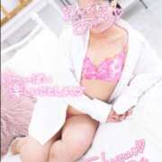 ヒメ日記 2025/03/11 19:19 投稿 ハイビスカス 飾窓