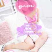 ヒメ日記 2025/03/15 21:03 投稿 ハイビスカス 飾窓