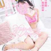 ヒメ日記 2025/04/18 19:40 投稿 ハイビスカス 飾窓