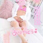 ヒメ日記 2025/05/09 15:17 投稿 ハイビスカス 飾窓