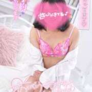 ヒメ日記 2025/05/13 16:55 投稿 ハイビスカス 飾窓