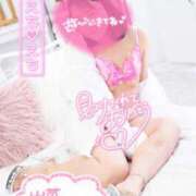 ヒメ日記 2025/05/14 16:01 投稿 ハイビスカス 飾窓