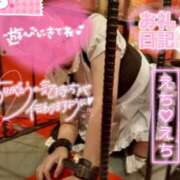 ヒメ日記 2025/05/16 14:55 投稿 ハイビスカス 飾窓