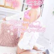 ヒメ日記 2025/05/19 19:38 投稿 ハイビスカス 飾窓