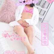 ヒメ日記 2025/05/20 20:01 投稿 ハイビスカス 飾窓