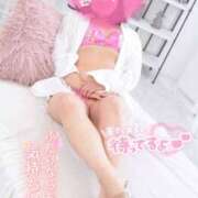 ヒメ日記 2025/06/16 20:21 投稿 ハイビスカス 飾窓