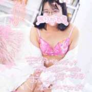 ヒメ日記 2025/06/18 17:17 投稿 ハイビスカス 飾窓