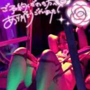 ヒメ日記 2025/06/19 21:42 投稿 ハイビスカス 飾窓