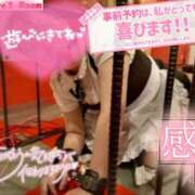 ヒメ日記 2025/06/20 21:57 投稿 ハイビスカス 飾窓