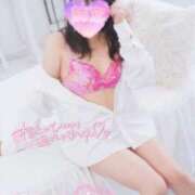 ヒメ日記 2025/06/24 22:06 投稿 ハイビスカス 飾窓