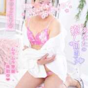 ヒメ日記 2025/06/26 19:47 投稿 ハイビスカス 飾窓