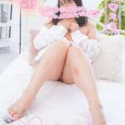 ヒメ日記 2025/06/28 20:56 投稿 ハイビスカス 飾窓