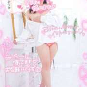 ヒメ日記 2025/06/29 17:54 投稿 ハイビスカス 飾窓