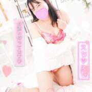 ヒメ日記 2025/07/02 19:19 投稿 ハイビスカス 飾窓