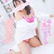 ヒメ日記 2025/07/05 16:27 投稿 ハイビスカス 飾窓