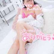 ヒメ日記 2025/07/07 20:55 投稿 ハイビスカス 飾窓