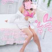 ヒメ日記 2025/07/09 20:44 投稿 ハイビスカス 飾窓