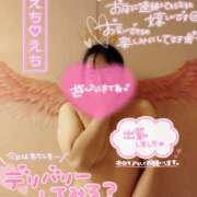 ヒメ日記 2025/07/10 18:44 投稿 ハイビスカス 飾窓