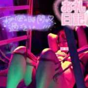 ヒメ日記 2025/07/11 20:27 投稿 ハイビスカス 飾窓