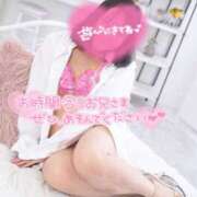 ヒメ日記 2025/07/12 20:11 投稿 ハイビスカス 飾窓