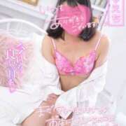 ヒメ日記 2025/07/18 19:34 投稿 ハイビスカス 飾窓