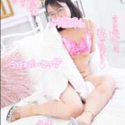 ヒメ日記 2025/07/21 18:59 投稿 ハイビスカス 飾窓