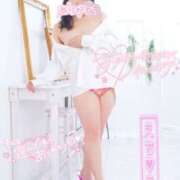 ヒメ日記 2025/07/21 20:55 投稿 ハイビスカス 飾窓