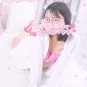 ヒメ日記 2025/07/22 20:52 投稿 ハイビスカス 飾窓