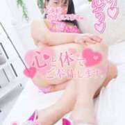 ヒメ日記 2025/07/23 14:05 投稿 ハイビスカス 飾窓