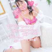 ヒメ日記 2025/07/26 14:54 投稿 ハイビスカス 飾窓