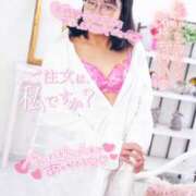 ヒメ日記 2025/07/27 14:57 投稿 ハイビスカス 飾窓