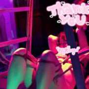 ヒメ日記 2025/07/29 20:52 投稿 ハイビスカス 飾窓